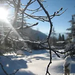 Haus Elisengrund Am Geigenbuehel - Prive 펜션 *