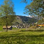 Haus Elisengrund Am Geigenbuehel - Prive 펜션