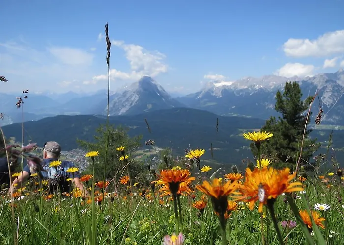 Semesterbostad Haus Elisengrund Am Geigenbuehel - Prive