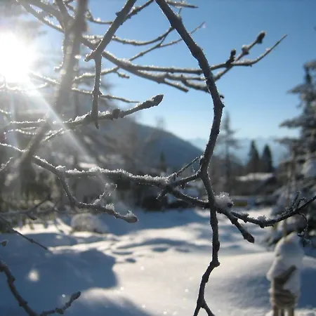 Haus Elisengrund Ferienhaus *
