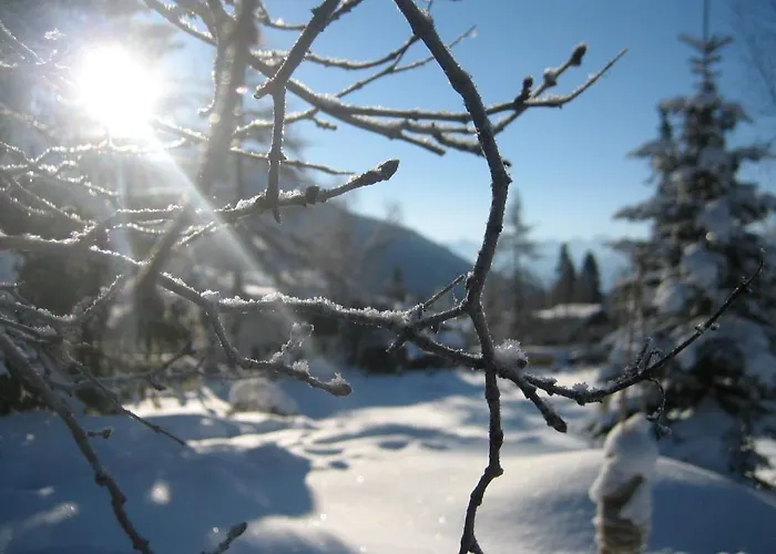 Haus Elisengrund Am Geigenbuehel - Privé Hébergement de vacances *